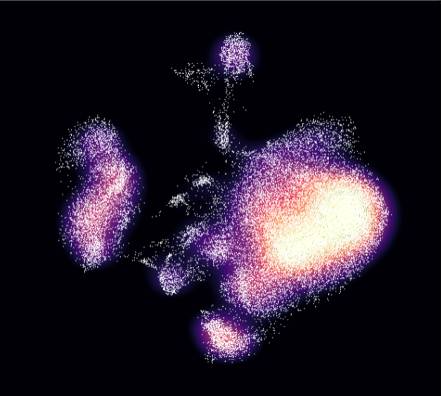 Single-cell analysis plot of immune cell populations in the tumor microenvironment