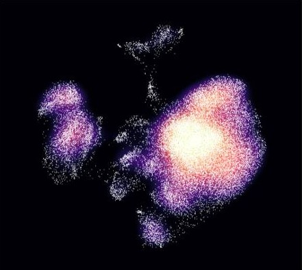 Single-cell clustering of tumor-infiltrating immune cells