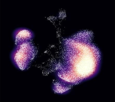 Single-cell map of CD8 T cell populations from tumor samples