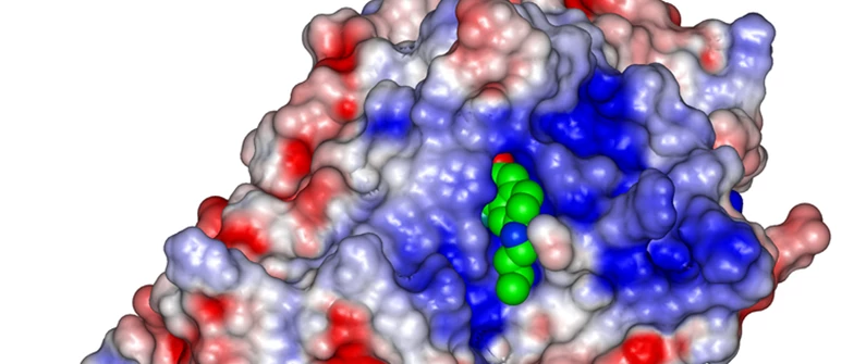 Revolutionizing Cancer Treatment: Dual-Action Immunotherapy Candidate Shows Promise Revolutionizing Cancer Treatment: Dual-Action Immunotherapy Candidate Shows Promise